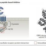 Medicine Development: Targeting the GPCR receptor complex