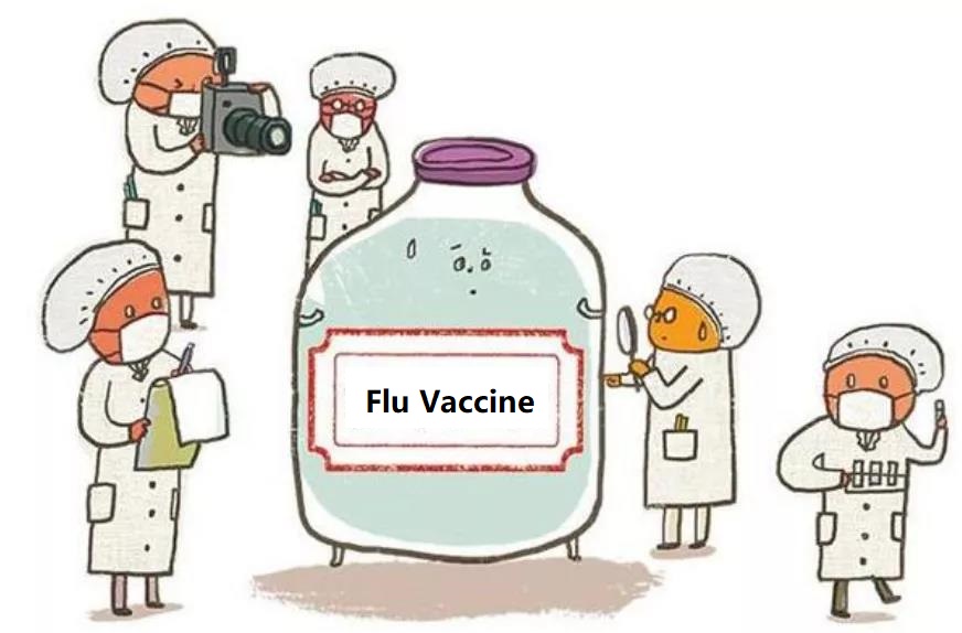 How does flu vaccine prevent the flu virus?