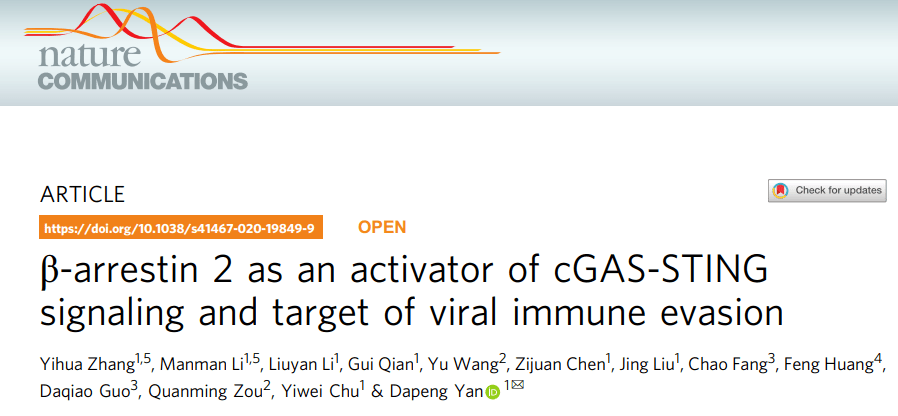  A new mechanism for virus immune escape