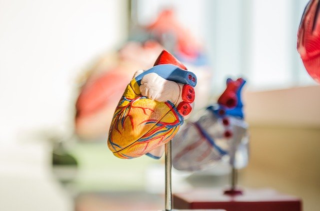 Knowledge about heart failure