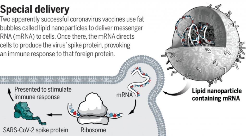 Pfizer mRNA Covid-19 Vaccine Will Trigger Rare Severe Allergic Reaction