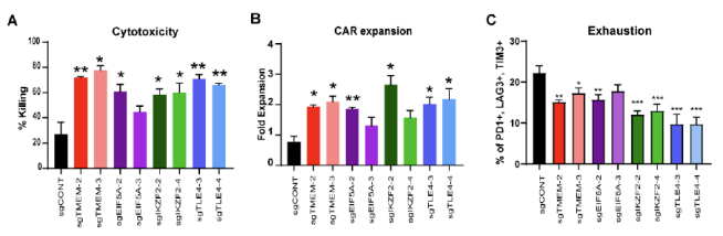  CRISPR screening improves CAR-T cells in the treatment of glioblastoma
