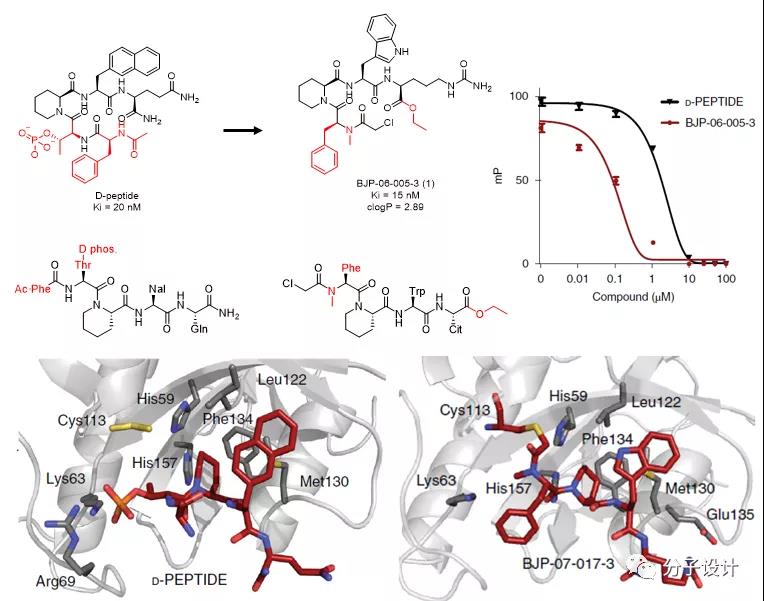 Membrane-permeable and highly selective Pin1 covalent inhibitor