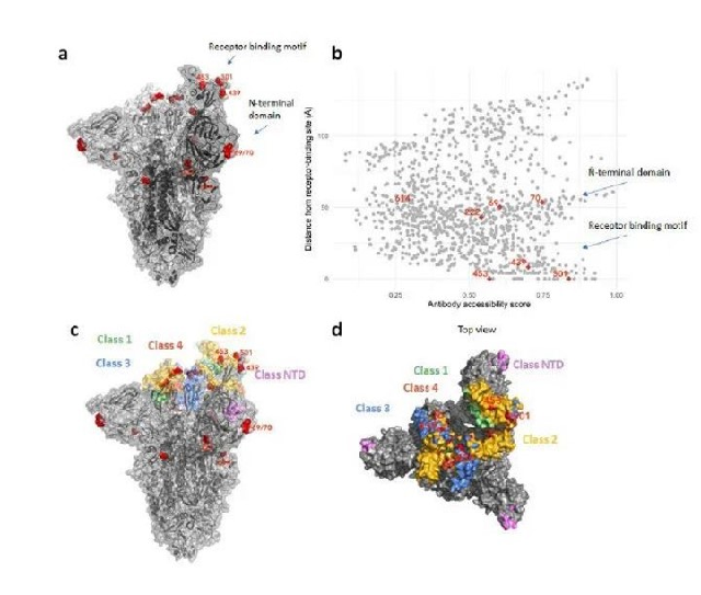 COVID-19: Multi-target collaborative small molecule antiviral drugs
