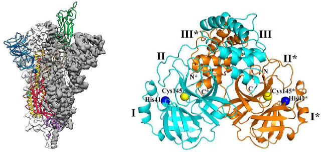 COVID-19: Multi-target collaborative small molecule antiviral drugs