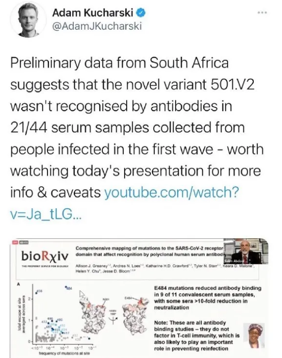 South Africa 501.V2 mutant has increased viral load and 50% higher infectivity