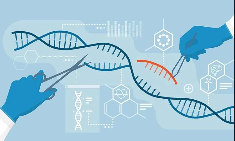 CRISPR: Three new developments in the field of gene editing