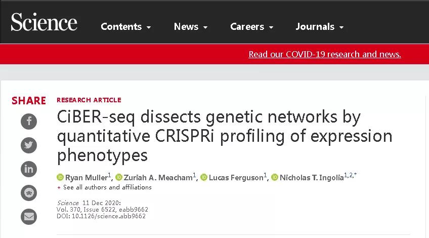CRISPR: Three new developments in the field of gene editing