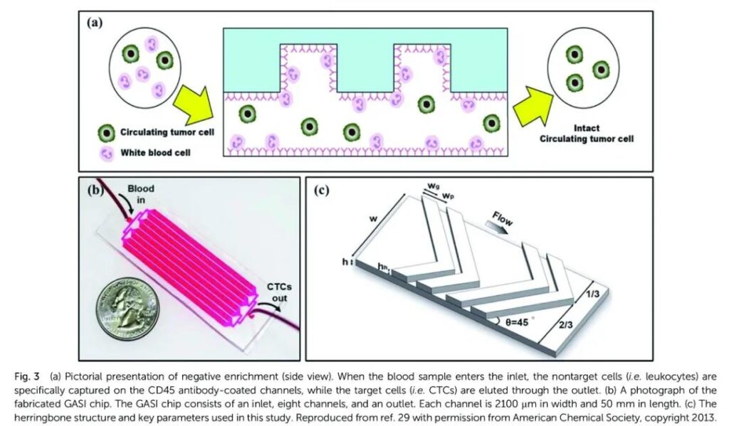 Detection Technologies on Circulating Tumor Cell 