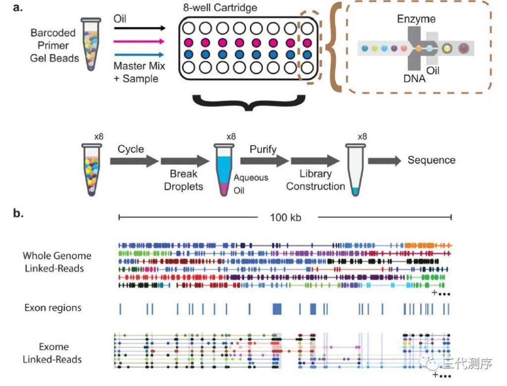 Second-generation sequencing: NGS (Next-generation sequencing)