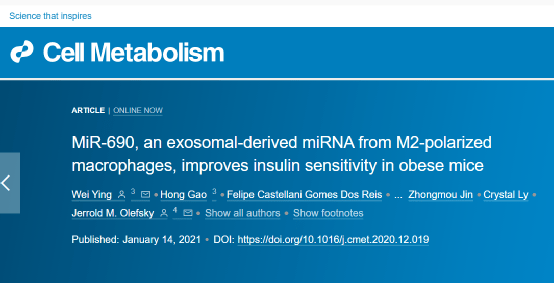 Cell Journal: miRNA can improve insulin sensitivity in obese mice