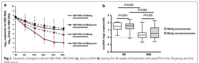 Hepatitis B: Treated by HBV RNA and peginterferon-α