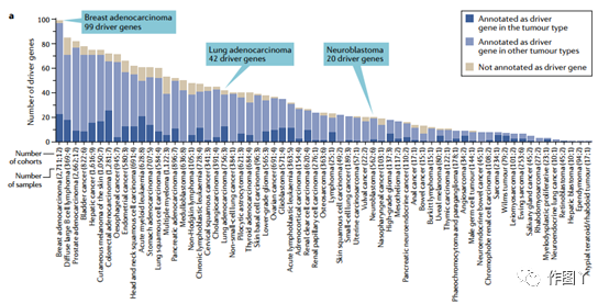 The most comprehensive collection of cancer driver genes:
