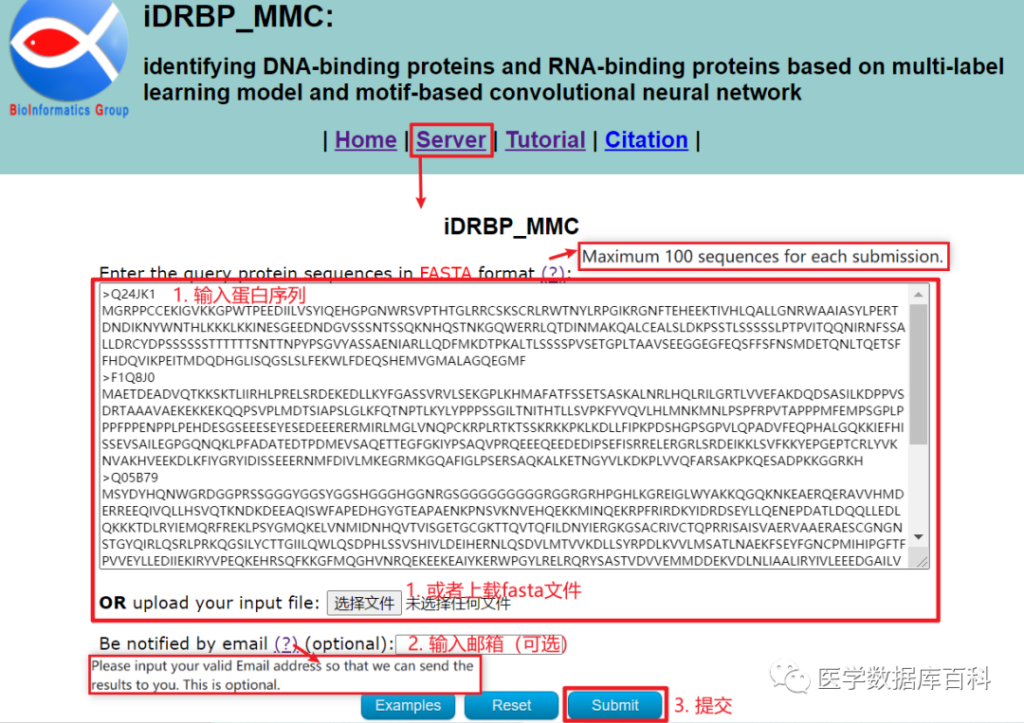 DNA binding protein and RNA binding protein recognition database