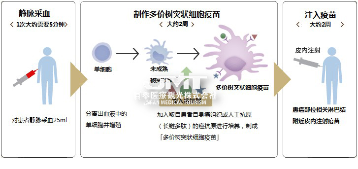 JMT: Principles of Japanese immune cell therapy
