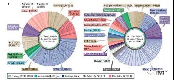 The most complete cancer driver gene summary