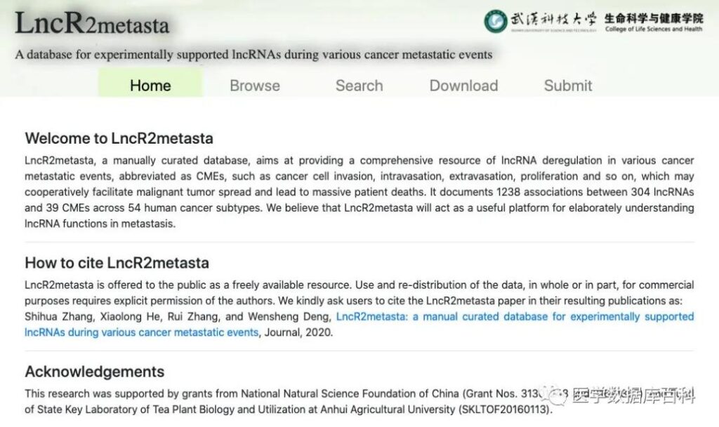 LncRNA database related to tumor metastasis