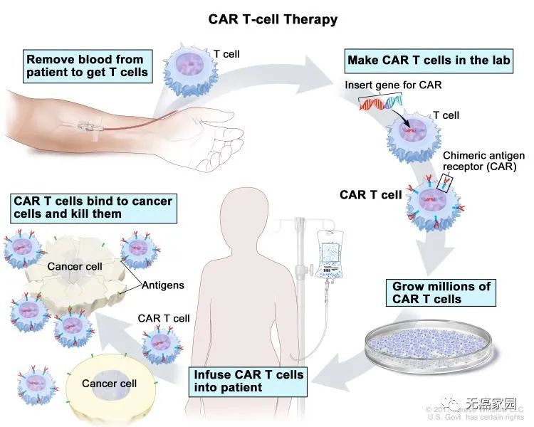 Immunotherapy to treat tumors
