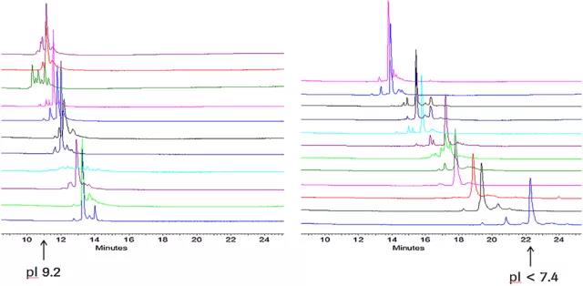 Capillary electrophoresis: Application in protein drug analysis