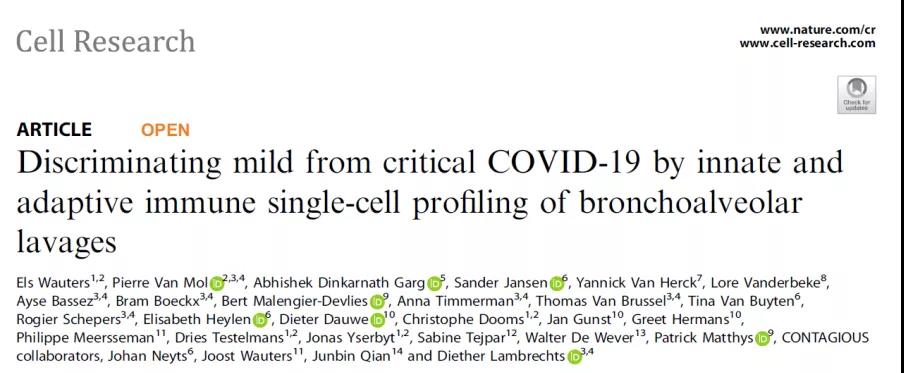Build a single-cell immune map of COVID-19 pneumonia