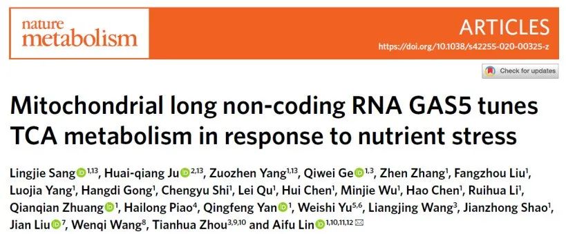 Mitochondrial non-coding RNA: An atlas of organelle non-coding RNA