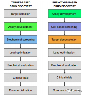 High-throughput screening methods in drug development