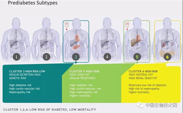 "Natural Medicine" defines 6 pre-diabetes subtypes