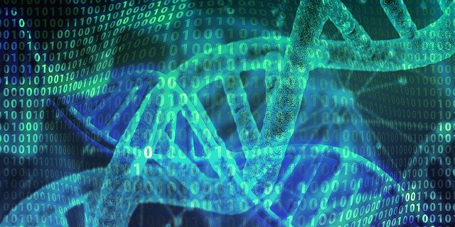 Scientists Successfully Transfer Longevity Genes: New Way for Extended Human Lifespan