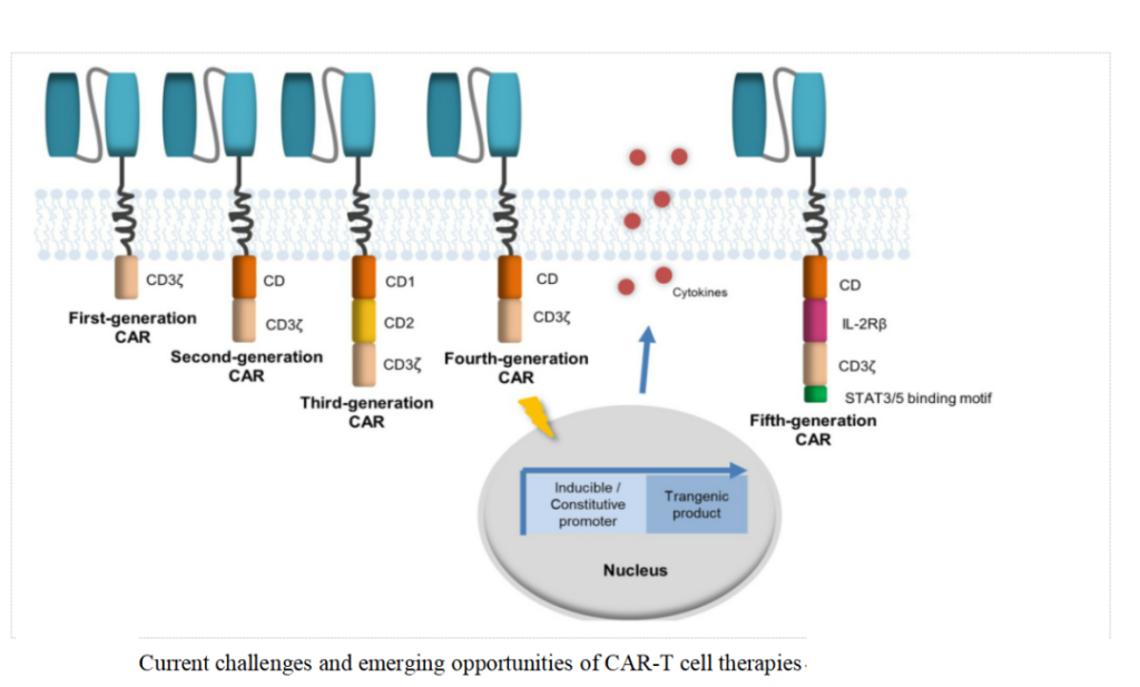 CAR-T therapy brings great opportunities in the cellular immune market