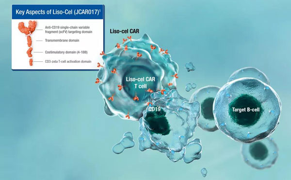 The fourth CAR-T therapy was approved to treat large B-cell lymphoma