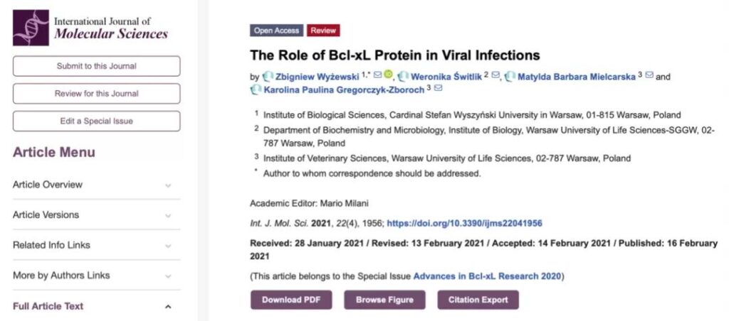 Hepatitis B Bcl-xL protein is a promising target molecule?