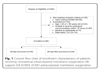 V-A ECMO support treatment on the microcirculation of patients