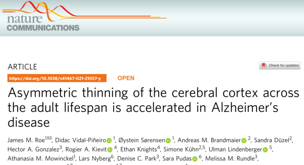 Changes in asymmetry in the cerebral hemispheres increase in Alzheimer