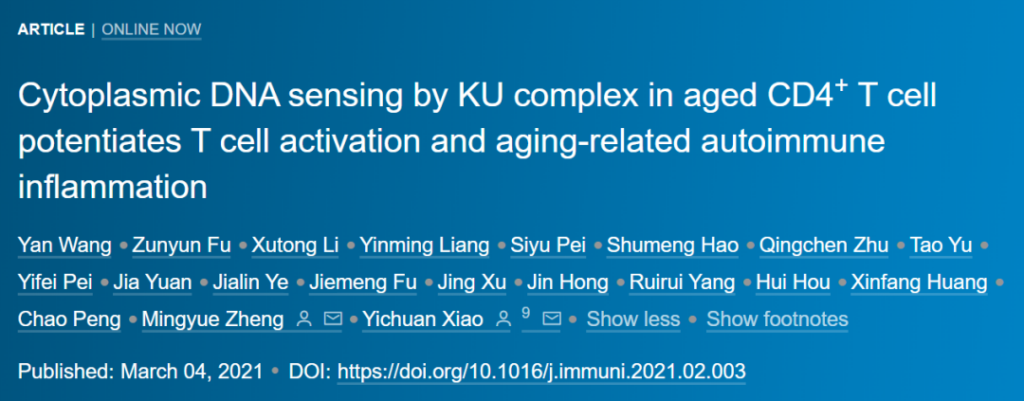 Immunity: KU complex mediates DNA sensing in CD4+ T cells