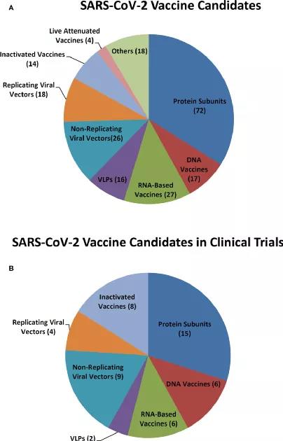 COVID-19: Development Update on Coronavirus Vaccines