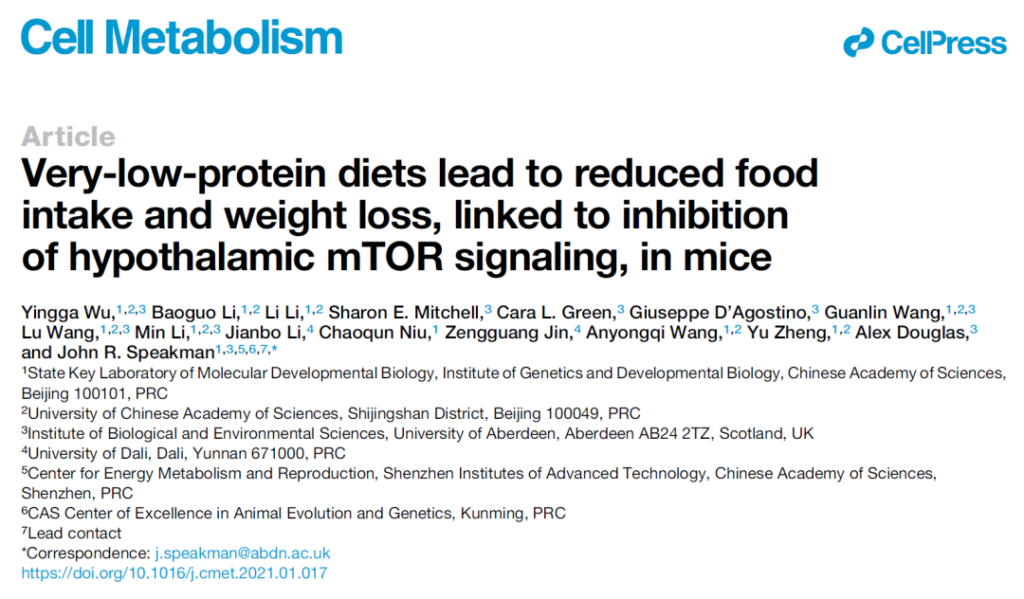mTOR signaling pathway: Low-protein diet can reduce body weight and body fat