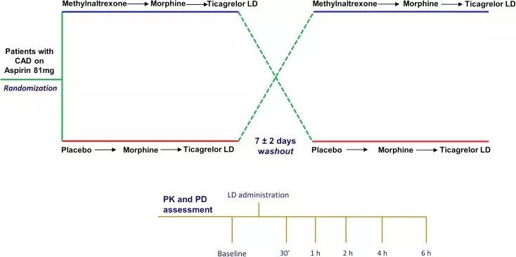 Coronary heart disease treatment: Methylnaltrexone | Morphine | Ticagrelor