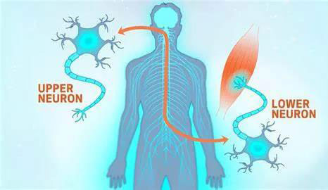 Gradual frost disease: Neuronal damage was reversed after 2-month treatment
