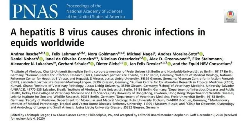 PNAS: A new HBV virus-causing chronic infections in horses worldwide