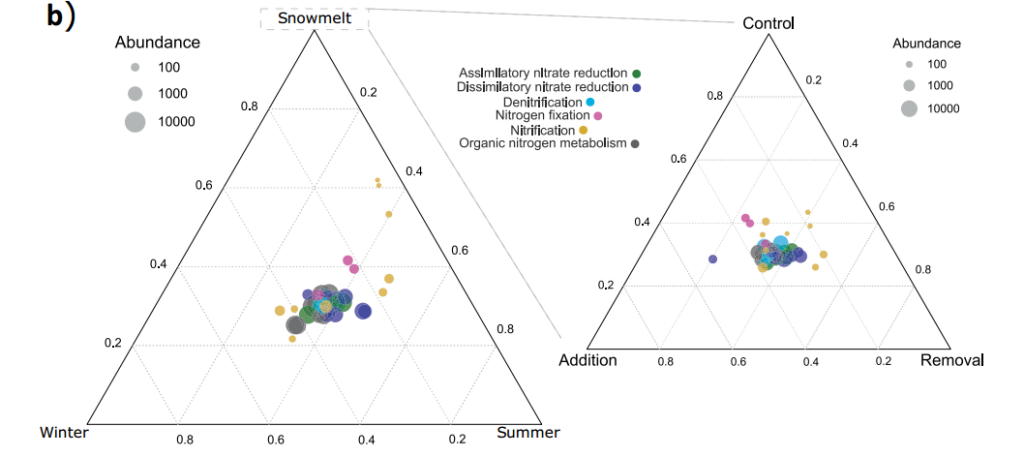 Climate change alters temporal dynamics of alpine soilmicrobial functioning and biogeochemical cycling via earlier snowmelt