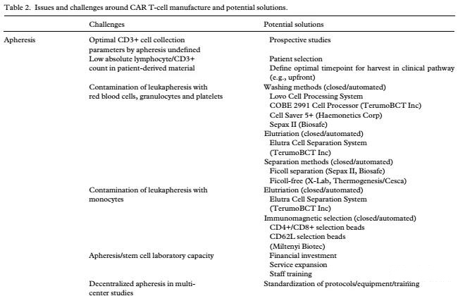 Problems and challenges in the production of CAR-T cells