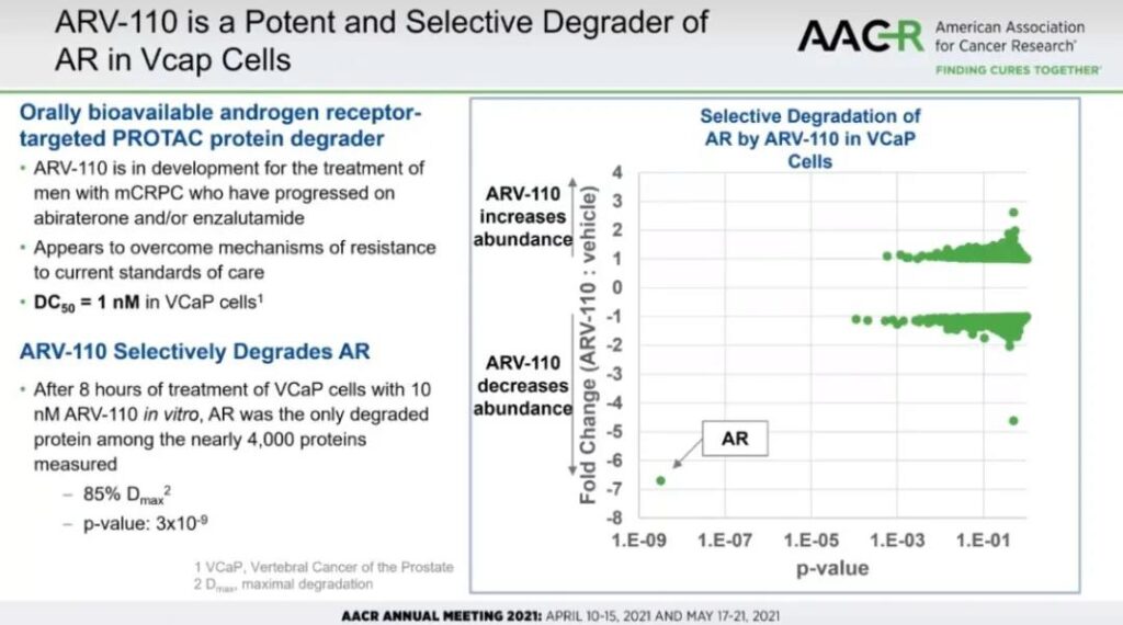 AACR: PROTAC molecule ARV110 ARV471 structure exposed
