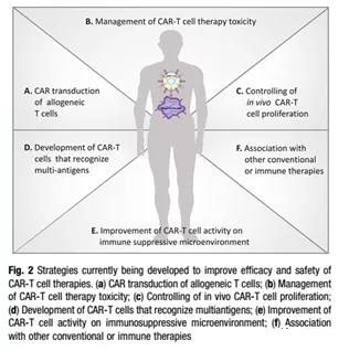 CAR-T cells for cancer treatment: current design and future development