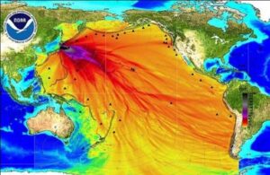 How serious is the harm of Fukushima Nuclear Sewage ?