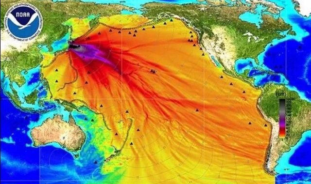 How serious is the harm of Fukushima Nuclear Sewage ?