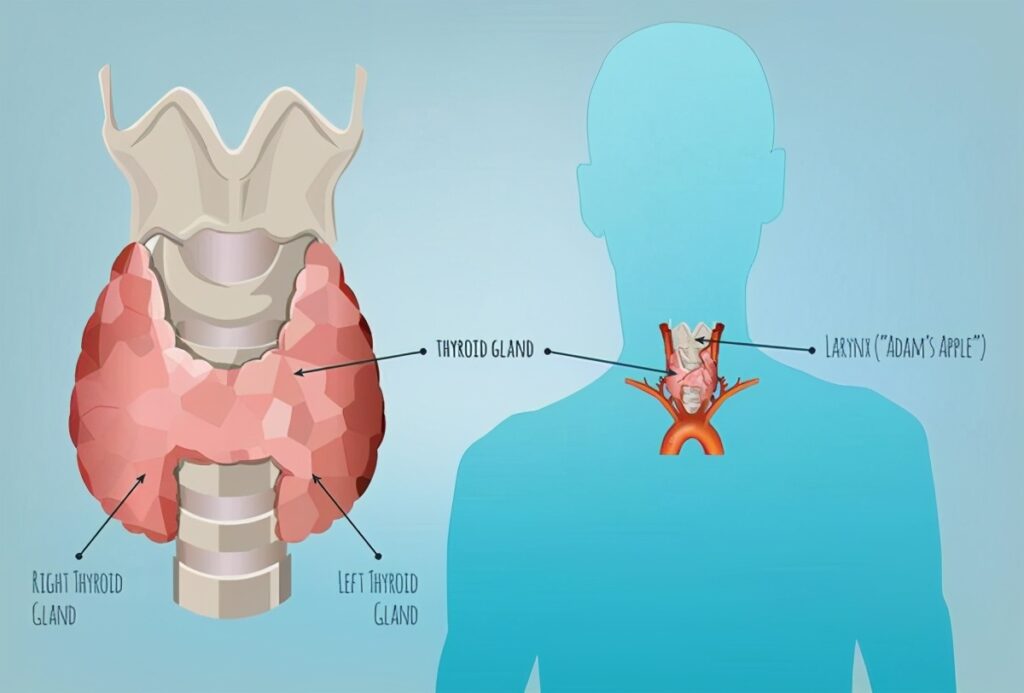 Should thyroid nodules be surgically removed?
