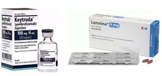 Keytruda+Lenvima: "Immune + Targeted" treatment of uterine body cancer!