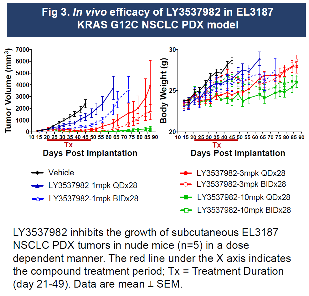 Eli Lilly announces a new generation of KRAS inhibitor LY3537982