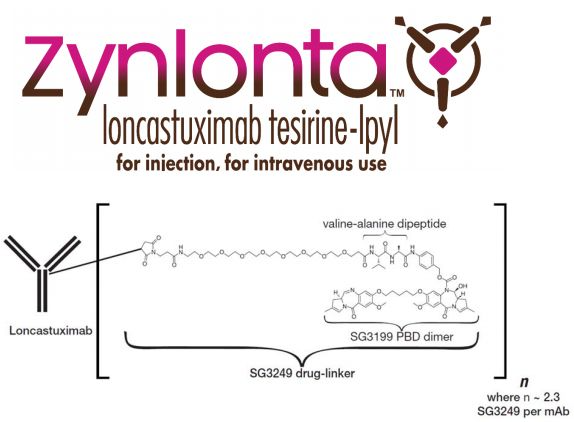 2021 New Antibody drug: Loncastuximab tesirine-lpyl (Zynlonta)