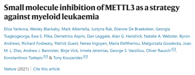 M6A methylase METL3 inhibitor effective for the progression of leukemia
